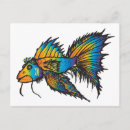 Recherche de poisson chat cartes postales Nature
