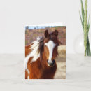 Recherche de horse anniversaire cartes Amoureux de cheval