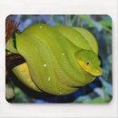 Recherche de serpent tapis souris Balance
