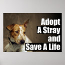 Recherche de sans abri posters Adopter