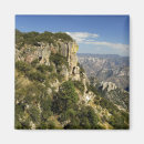 Search for overview magnets Landscape