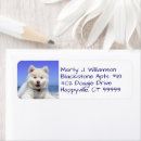Recherche de own photo return address labels Photo d'animal de compagnie