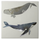Search for whale tiles Sea