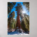 Search for generic winter posters Nature