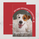 Search for dog photo christmas cards Happy howlidays