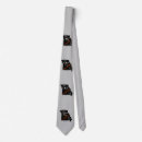 Search for eclipse ties Sun