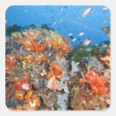 Search for national animal stickers Indonesia