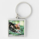 Search for concentration keychains Outdoors