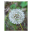 Search for 11x14 posters Photograph
