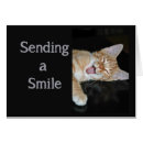 Recherche de chat de sourire Humour