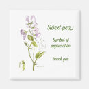 Search for pea green Flower