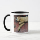 Search for side profile mugs Animal body part