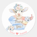 Search for lamb stickers Boy