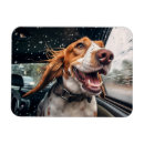 Recherche de voiture de chien magnets Amoureux des chiens