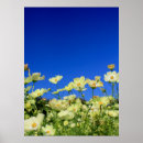 Recherche de gisement d art Plante