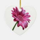 Search for gerbera daisy ornaments Flower