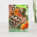 Search for fritillary cards Nature