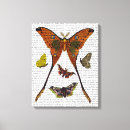 Recherche de papillon turquoise art Papillons