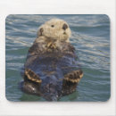 Recherche de iceberg tapis souris Alaska