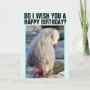 Search for baboon cards Monkey