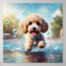 Search for pet grooming art Puppy