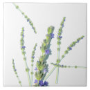 Recherche de fleur violette carreaux Nature