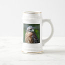 Recherche de oiseau chopes Faucon