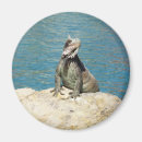 Search for wildlife magnets Tropical