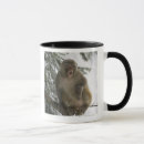 Recherche de temperature tasses La température froide