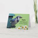 Search for blue jay birthday cards Bird lover