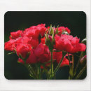 Search for budding mousepads Roses