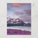 Search for alaska range postcards Usa