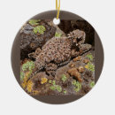 Recherche de lézard maison deco Illustration