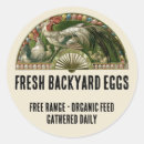 Search for egg free stickers Eggs for sale