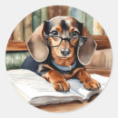Search for dachshunds stickers Pet