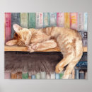 Search for book shelf art Cat