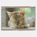 Search for one photo blankets Cute