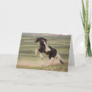 Search for mustang cards Wyoming