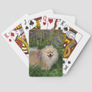 Recherche de spitz jeux de cartes Bob et pam langrish