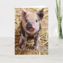 Search for pig mothers day cards Animal