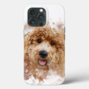 Search for golden doodle iphone cases Dogs