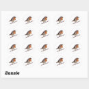 Search for robin bird stickers Nature