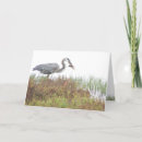 Search for wetlands cards Photography