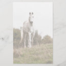 Search for horse stationery paper Riding