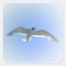 Recherche de mouettes autocollants Oiseaux