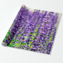 Search for florist wrapping paper Lavender