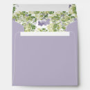 Search for butterfly envelopes Summer