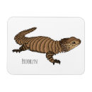 Search for lizard magnets Reptile