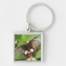 Search for swallowtail butterflies keychains Flowers