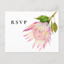 Recherche de ros floral Chic